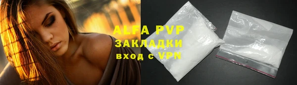 ECSTASY Майский