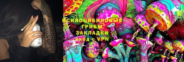 ECSTASY Майский