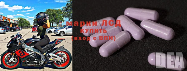 мяу мяу мука Магас