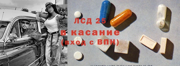 ECSTASY Майский