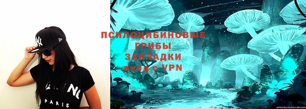 мяу мяу мука Магас