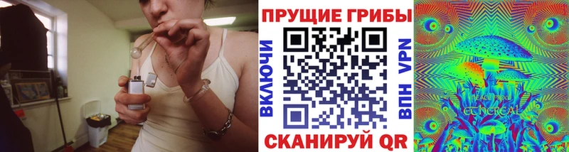 Псилоцибиновые грибы прущие грибы Тбилисская